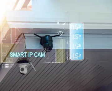 Security Systems